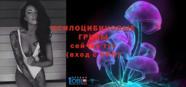 мяу мяу мука Алзамай