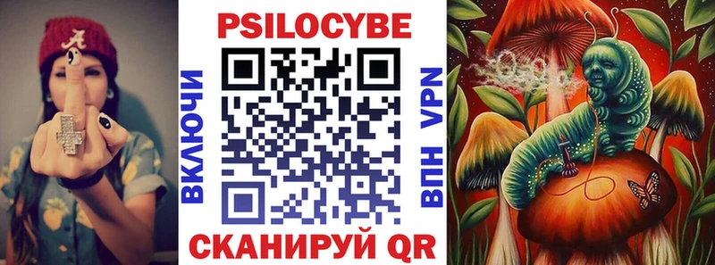 Галлюциногенные грибы Psilocybe Новокубанск