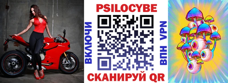 купить закладку  Новокубанск  мега tor  Псилоцибиновые грибы прущие грибы 